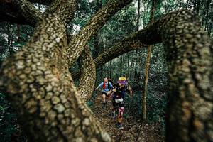 BIB: 
                            <button type="button" onclick="openModal(25393341)" class="btn btn-primary btn-sm float-right btn-popup" data-toggle="modal" data-target=".modal-high-quality">
                        <i class="fas fa-shopping-cart"></i> Add to Cart
                    </button>
                                            <button type="button" onclick="isThisMe(25393341, true)" class="btn btn-success btn-sm float-right btn-popup btn-isme hidden" data-toggle="tooltip" data-placement="bottom" title="นี่คือรูปของคุณใช่ไหม คลิกที่นี่เพื่อเอาเข้าอัลบั้ม">
                        <i class="fas fa-plus"></i> Add to album
                    </button>
                    <button type="button" onclick="isThisMe(25393341, false)" class="btn btn-warning btn-sm float-right btn-popup btn-isnotme hidden">
                        <i class="fas fa-ban"></i> Remove from album
                    </button>